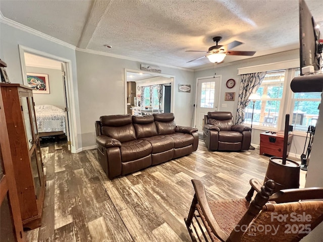 living room with ceiling fan, hardwood / wood-style floors, a textured ceiling, and ornamental molding