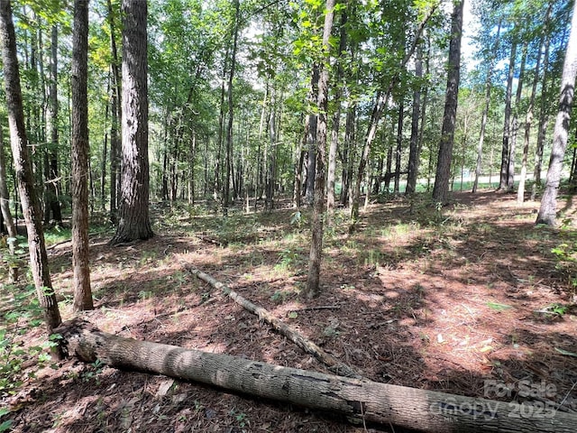 view of local wilderness