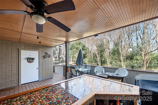 exterior space with ceiling fan and a wealth of natural light