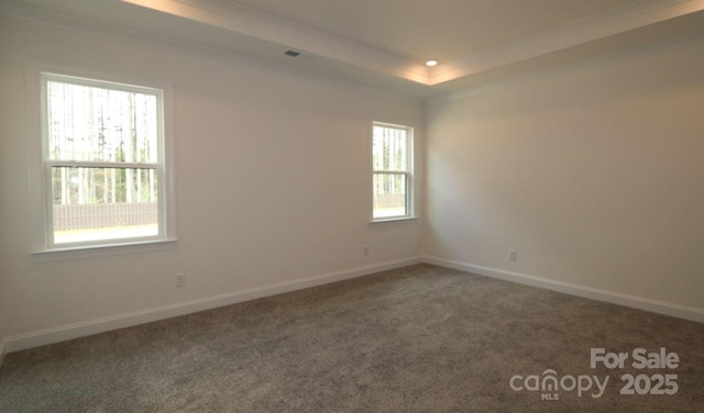 1136 Yellow Springs Dr, Huntersville, NC 28078 - carpeted empty room with ornamental molding, baseboards, and plenty of natural light