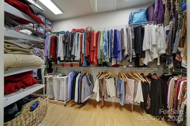 walk in closet with hardwood / wood-style flooring