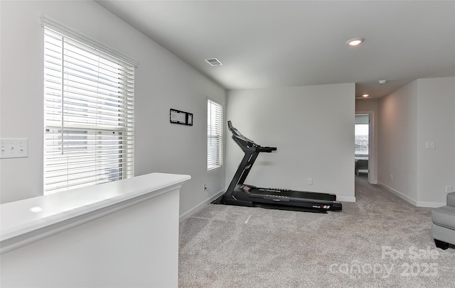 exercise area featuring light carpet