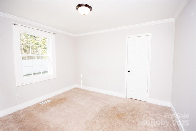 empty room featuring ornamental molding and carpet flooring