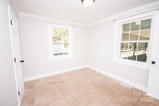 empty room with crown molding and light carpet