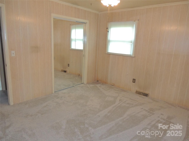 carpeted empty room with wood walls, ornamental molding, and a wealth of natural light