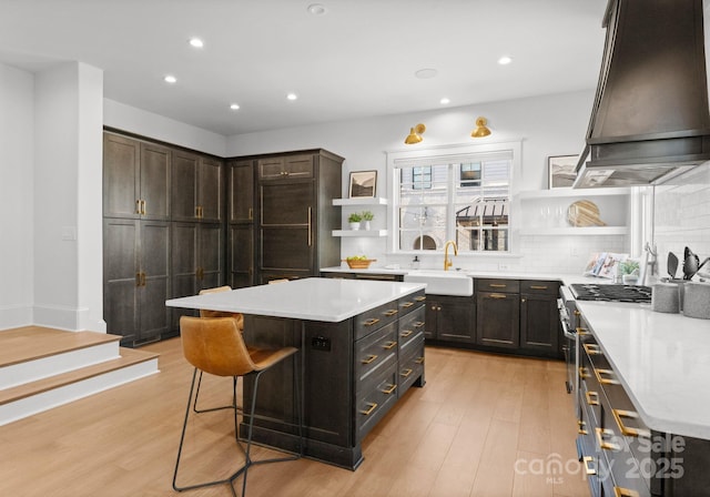 kitchen with premium range hood, tasteful backsplash, sink, light hardwood / wood-style floors, and a kitchen island