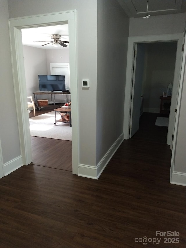 hall featuring dark hardwood / wood-style flooring