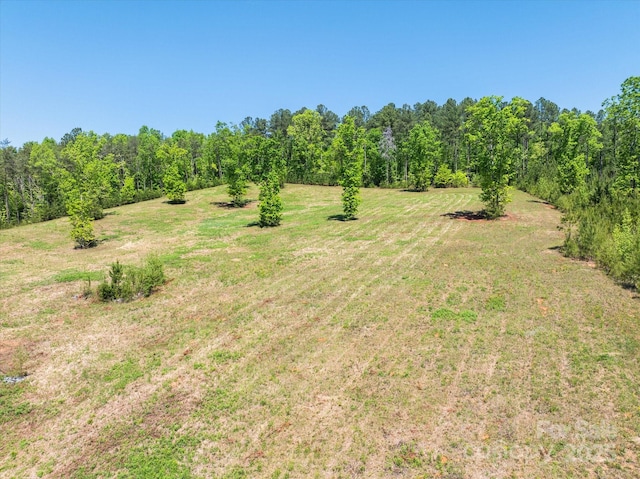 99999 Pea Ridge Rd, Mill Spring, NC 28756 - photo 1
