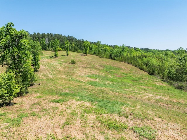 99999 Pea Ridge Rd, Mill Spring, NC 28756 - photo 2