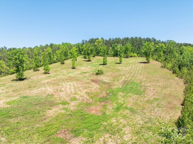 99999 Pea Ridge Rd, Mill Spring, NC 28756 - photo 3
