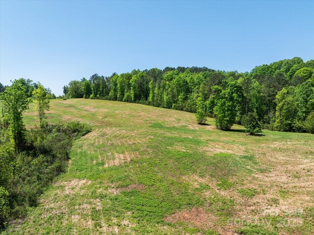 99999 Pea Ridge Rd, Mill Spring, NC 28756 - photo 4