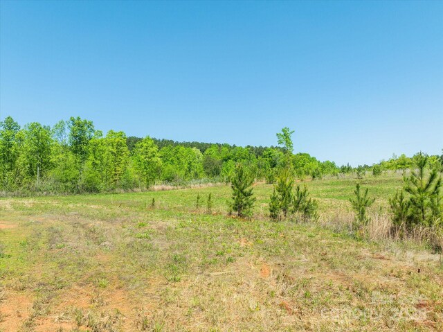 99999 Pea Ridge Rd, Mill Spring, NC 28756 - photo 5