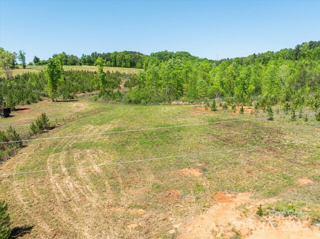 99999 Pea Ridge Rd, Mill Spring, NC 28756 - photo 6