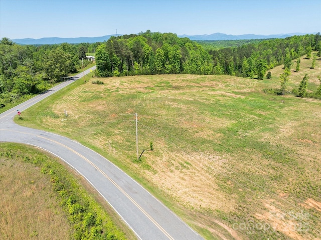 99999 Pea Ridge Rd, Mill Spring, NC 28756 - photo 7