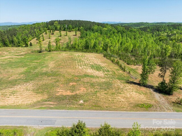 99999 Pea Ridge Rd, Mill Spring, NC 28756 - photo 8