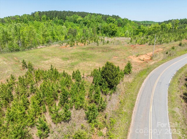 99999 Pea Ridge Rd, Mill Spring, NC 28756 - photo 9