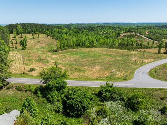 99999 Pea Ridge Rd, Mill Spring, NC 28756 - photo 10
