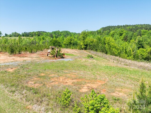 99999 Pea Ridge Rd, Mill Spring, NC 28756 - photo 11