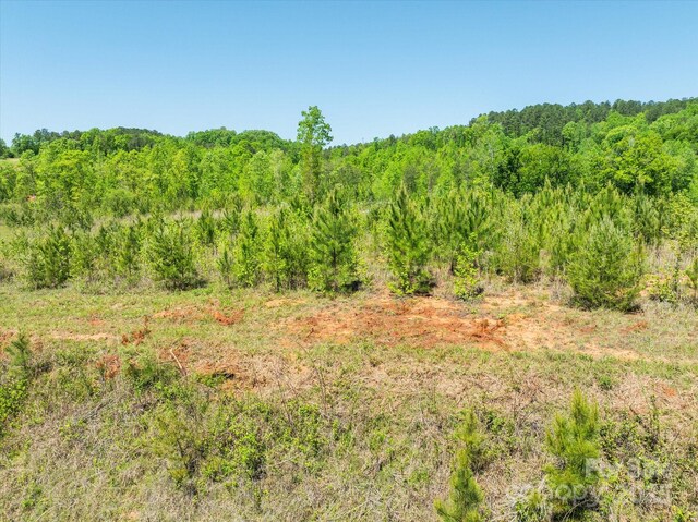 99999 Pea Ridge Rd, Mill Spring, NC 28756 - photo 12