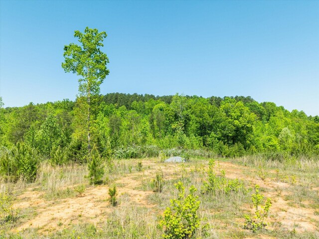 99999 Pea Ridge Rd, Mill Spring, NC 28756 - photo 13