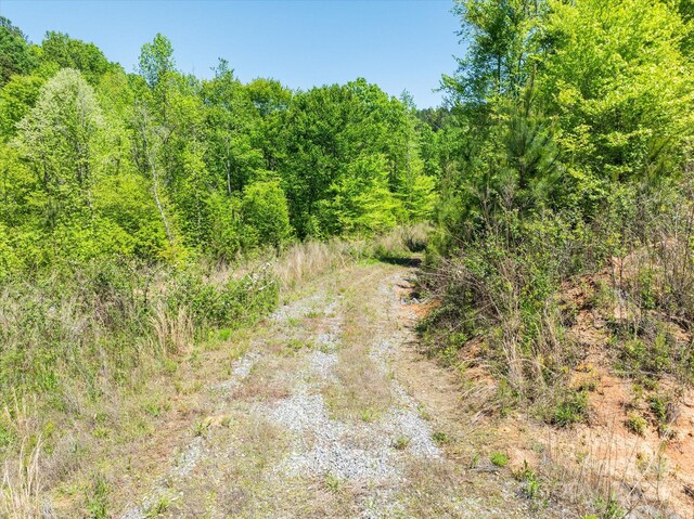99999 Pea Ridge Rd, Mill Spring, NC 28756 - photo 14
