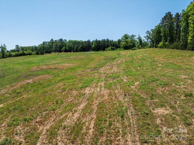 99999 Pea Ridge Rd, Mill Spring, NC 28756 - photo 15