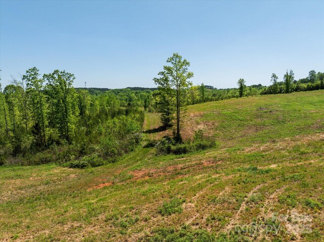 99999 Pea Ridge Rd, Mill Spring, NC 28756 - photo 16