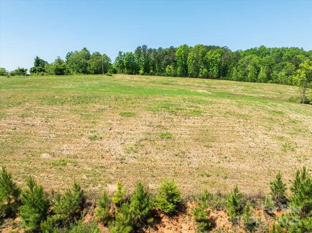99999 Pea Ridge Rd, Mill Spring, NC 28756 - photo 17