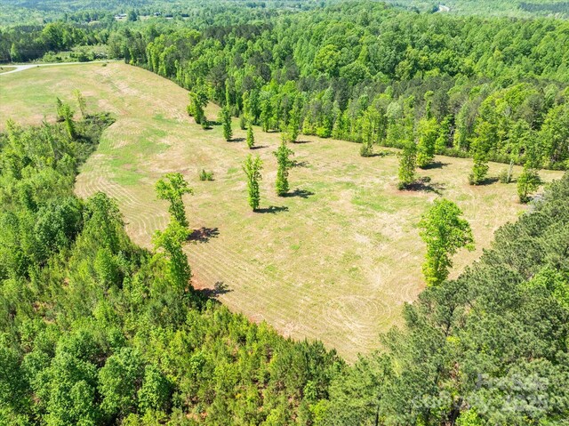 99999 Pea Ridge Rd, Mill Spring, NC 28756 - photo 18