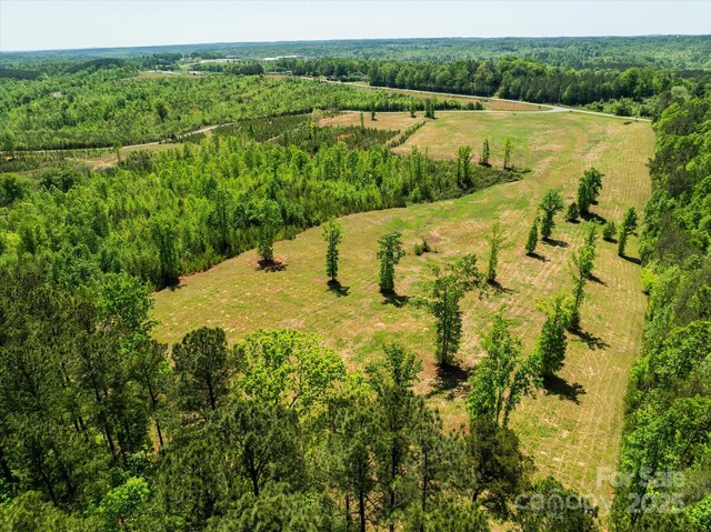 99999 Pea Ridge Rd, Mill Spring, NC 28756 - photo 19