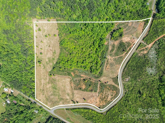 99999 Pea Ridge Rd, Mill Spring, NC 28756 - photo 20
