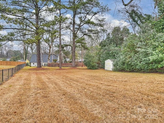 view of yard with a storage unit