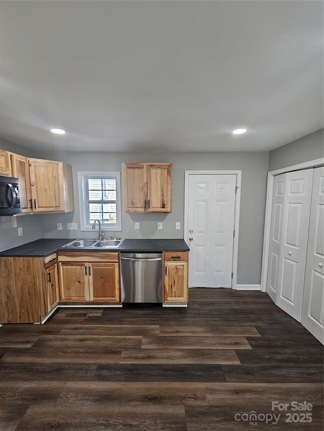 kitchen featuring stainless steel dishwasher, dark hardwood / wood-style floors, and sink