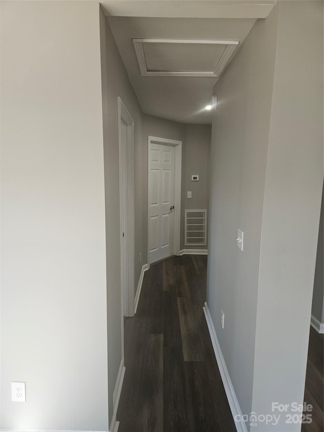 hall featuring dark hardwood / wood-style floors