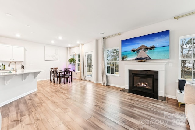 living room featuring light wood-type flooring and sink