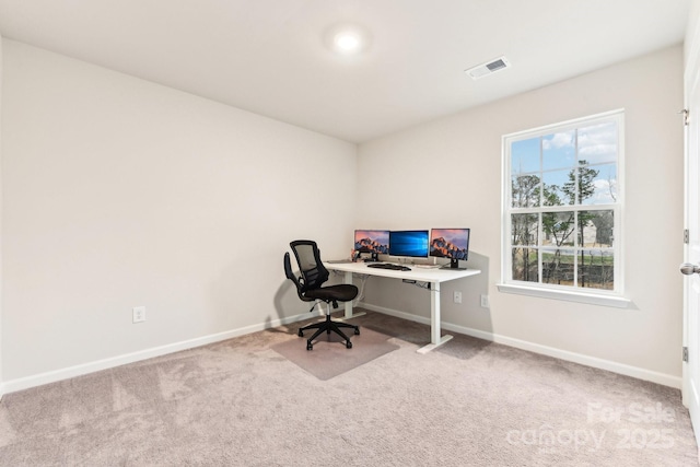 office space with carpet flooring