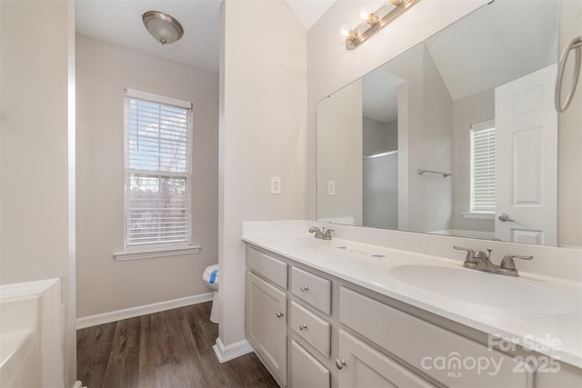 bathroom featuring toilet, wood-type flooring, vanity, and an enclosed shower