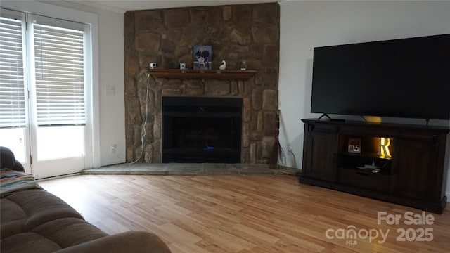 living room with light hardwood / wood-style floors and a fireplace