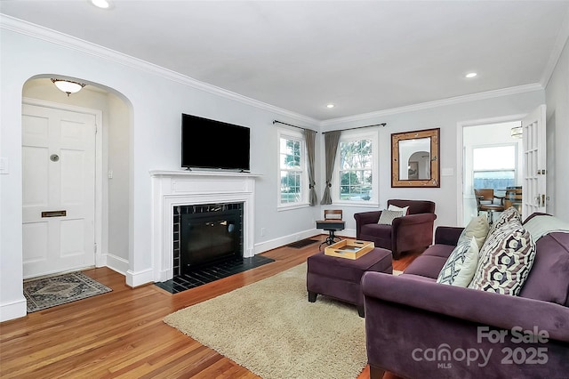 living room with a fireplace, wood-type flooring, and crown molding