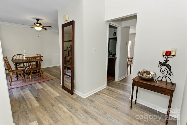 hall featuring crown molding and light hardwood / wood-style flooring