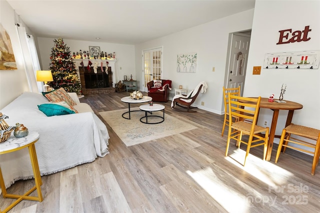 living room with a fireplace and hardwood / wood-style floors