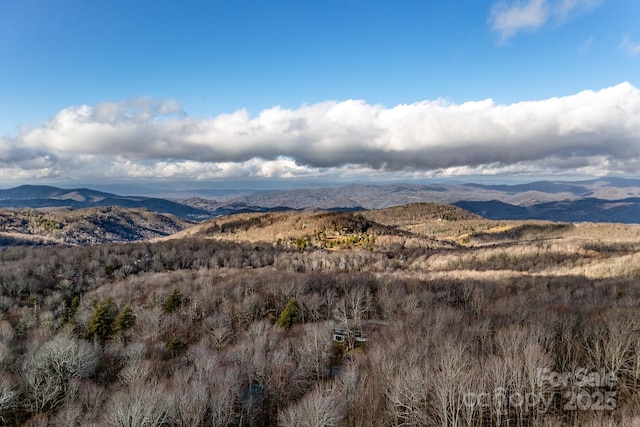 1076 Charter Hills Rd, Beech Mountain NC, 28604 land for sale