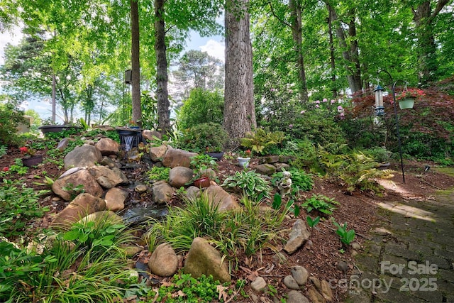 92 Heritage Dr, Clover, SC 29710 - view of local wilderness