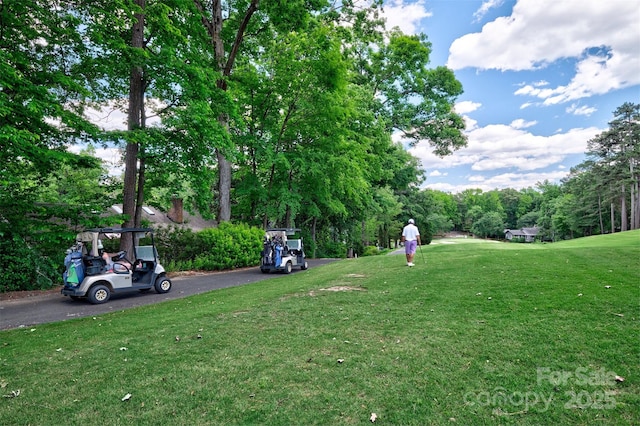 92 Heritage Dr, Clover, SC 29710 - view of community featuring a lawn