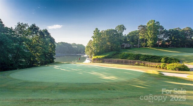 92 Heritage Dr, Clover, SC 29710 - surrounding community featuring a water view