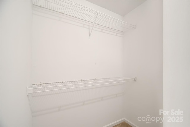 view of spacious closet