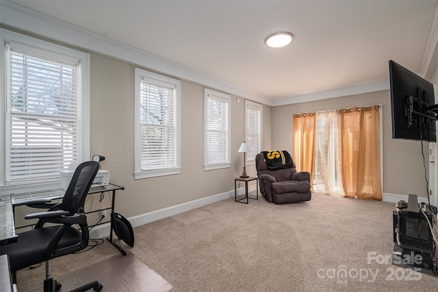 carpeted home office featuring ornamental molding