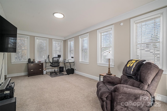 carpeted home office featuring crown molding