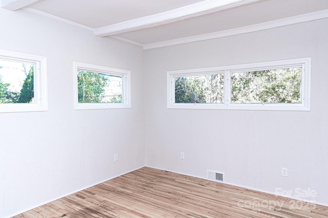 unfurnished room featuring ornamental molding, a wealth of natural light, and light hardwood / wood-style flooring