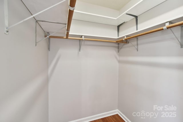 spacious closet featuring hardwood / wood-style flooring